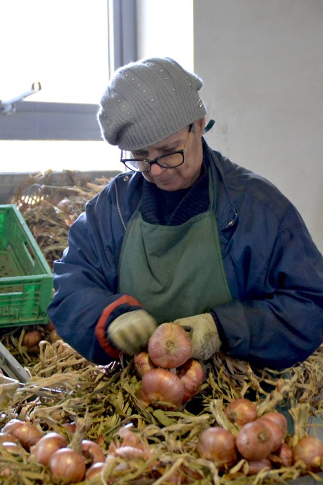 cipolla ramata di montoro